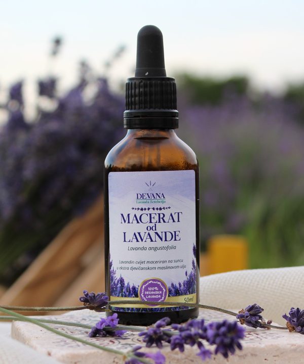 Lavanda MACERAT