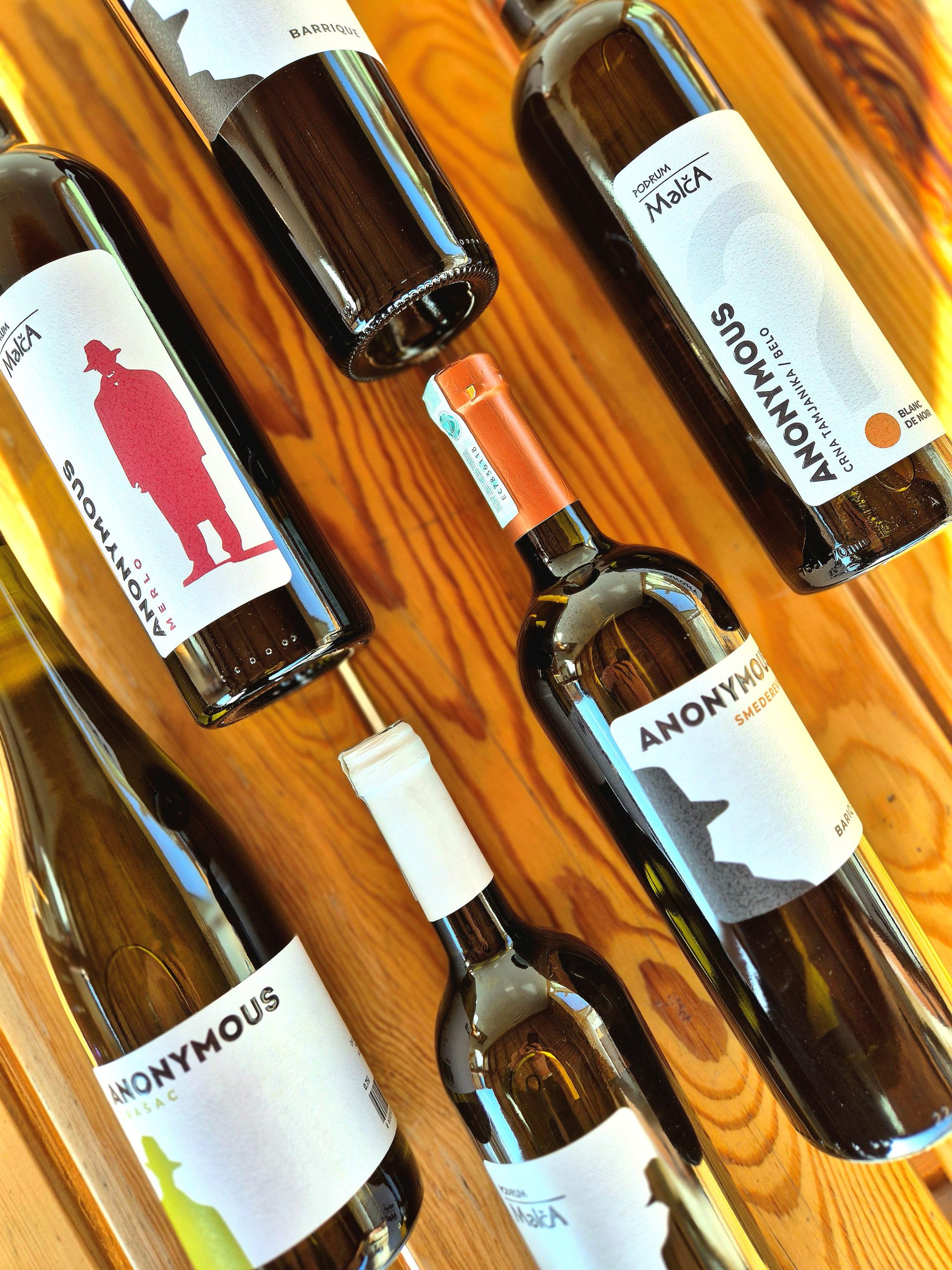 20260125_131004 sajt